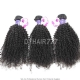 3 or 4 Bundles Royal Virgin Cambodian Kinky Curly Hair Weft 100% Unprocessed