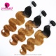 1B/30 Two Tone Ombre Color Royal 100% Virgin Hair Extension 1 Bundles