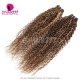 1 Bundle 14A Royal Grade Highlight Color P4/27 Human Hair Weave Bundles 100% Hair Extensions